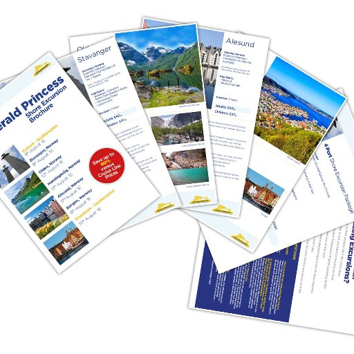 A specialised Travel Team at Cruising Excursions Ltd providing assistance to Travel Agents all around the world with shore excursions for all cruises.