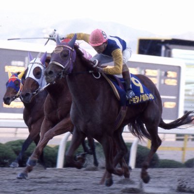 サンフレッチェ広島と競馬。 レノファ山口も本格的に。ギラヴァンツ北九州（ミクスタ）の魅力も伝えます笑 あと、完全下道の素晴らしさを伝える、爆

暇空茜国家賠償請求訴訟勝訴
報道しない自由をいつ解除するのか。