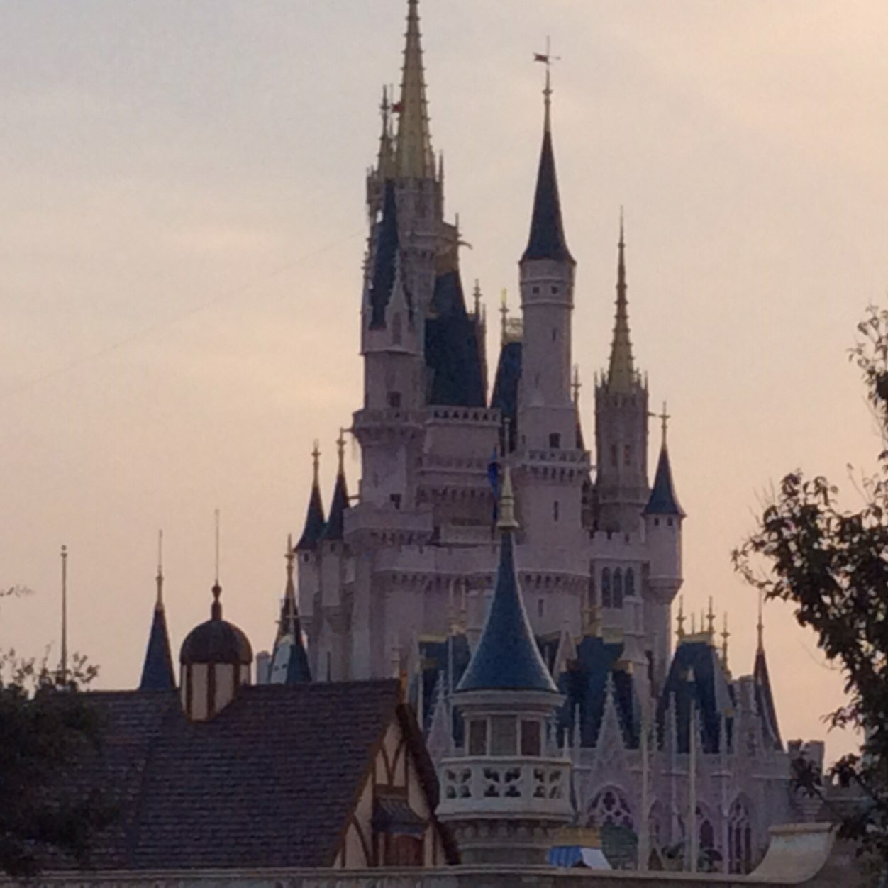 TinaMontone's profile picture. Walking dead, Chris Pratt, Italian, oldest, Chandler Riggs, Steven Yaun!!