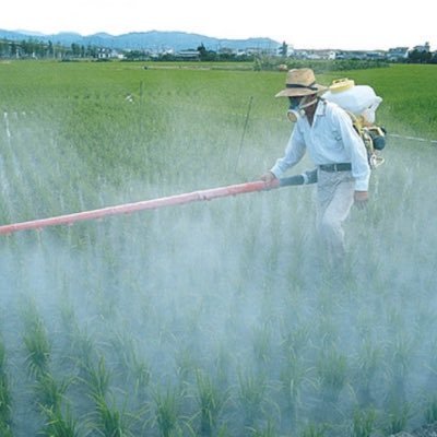 Pesticides have both, pros and cons. Learn about both right here! Follow for follow :)