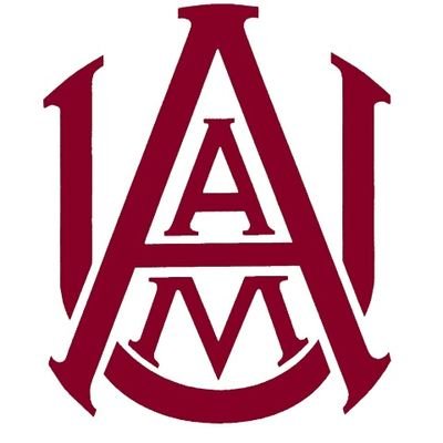 ALABAMA A&M '21 ONLY!! 🐶
class page!!