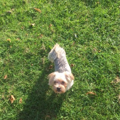 RobCox1's profile picture. 