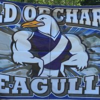 OOB Athletics (@oobathletics) 's Twitter Profile