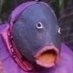 Autism Squad (@kysausquad) Twitter profile photo Autism Squad (@kysausquad) Twitter profile photo