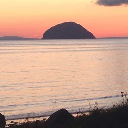 caradigital1's profile picture. News  Network