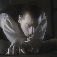 Nicolas Tennant (@tennantnicolas) 's Twitter Profile