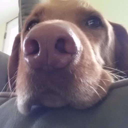 WanaGoPlayNStay's profile picture. 