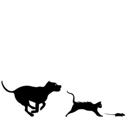 pourquoiTcours's profile picture. Agence de planning stratégique 2.0 dirigée par Jérémy dumont pour aider les responsables de marque à élaborer des stratégies interactives a portée sociale.