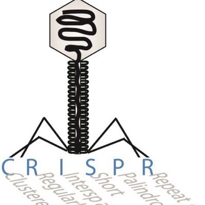 Online CRISPR Information Platform https://t.co/JL7dxoy83C; Ümit Pul - here personal views