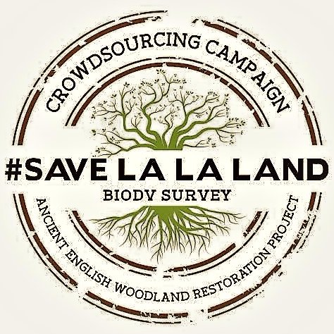 #Eco & #Legal Campaign to save beautiful ancient #Woodland in the South of England from #Ecological disaster & STOP the Council ABUSING its powers.
FOLLOW US