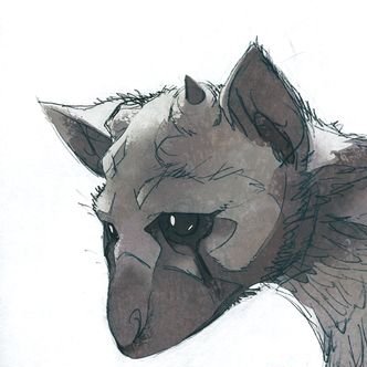 Hydrolique62's profile picture. 