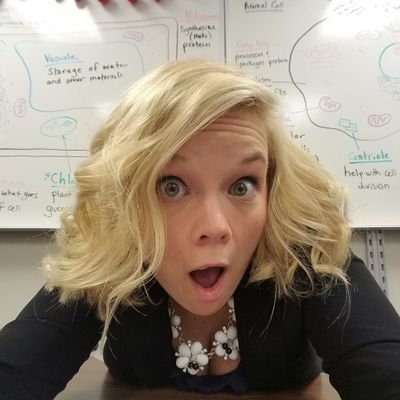 hosiermadehandy's profile picture. Teacher of science. Student of the world.