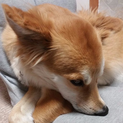 たくさんの人と絡みたい。最近矢沢えいちゃんの魅力に目覚めました。