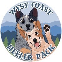 westcoastheeler Profile Picture
