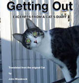 TheCatsDiary's profile picture. Self promotionalist!