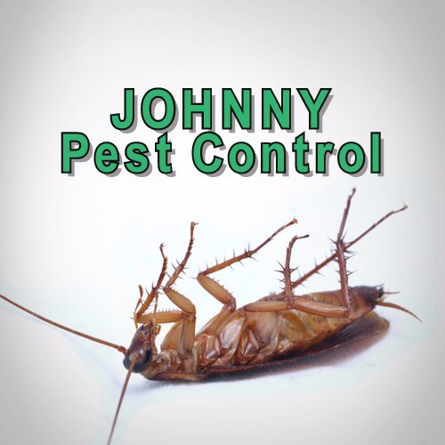 Our team of licensed and experienced technicians will provide your home with a pest control treatment specially designed for your home.