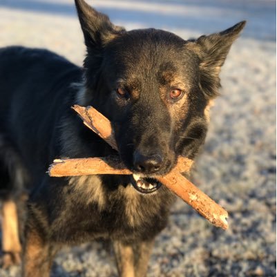 MarkySimons's profile picture. Me...