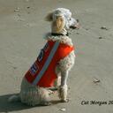 Marshal Morgan - @divacalm - Twitter