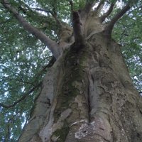 Colin Walsh (@happyspud1) 's Twitter Profile