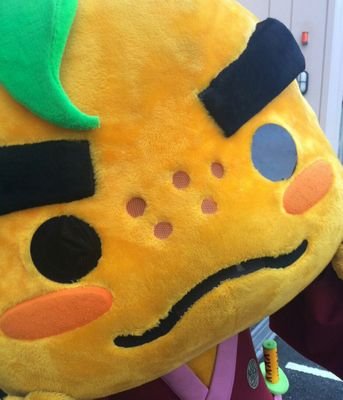 natsuten0617's profile picture. よろしくお願いします😇