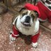 XenaInglesBulldog❤️ (@chelsearmeror) Twitter profile photo XenaInglesBulldog❤️ (@chelsearmeror) Twitter profile photo