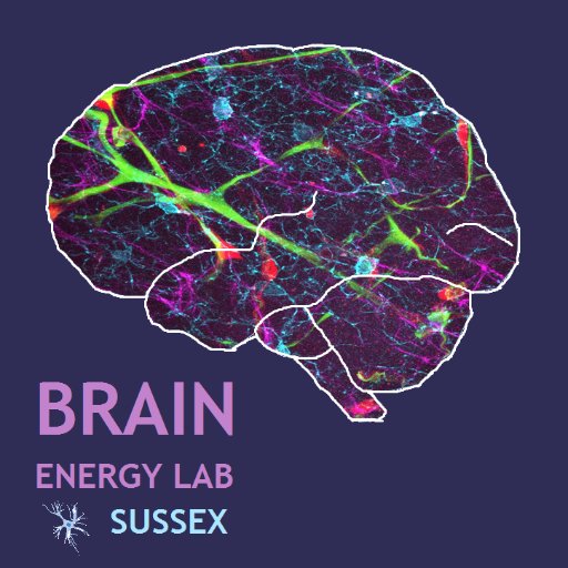 We are the Brain Energy Lab at the University of Sussex, led by Dr Catherine Hall. We use several imaging techniques to probe neurovascular function.