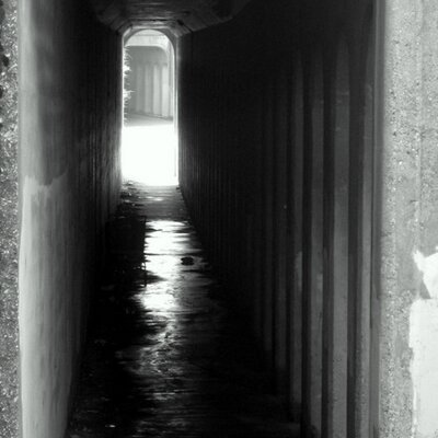 Profile Picture of Mike Johnson (@SavageLacy) on Twitter