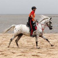 Jill Thorburn (@jillthorburn) 's Twitter Profile Photo Jill Thorburn (@jillthorburn) 's Twitter Profile Photo