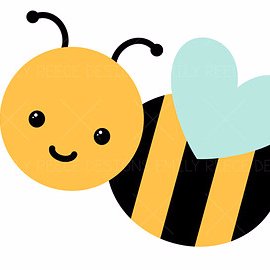 Weekly bee facts and pictures of my hive!