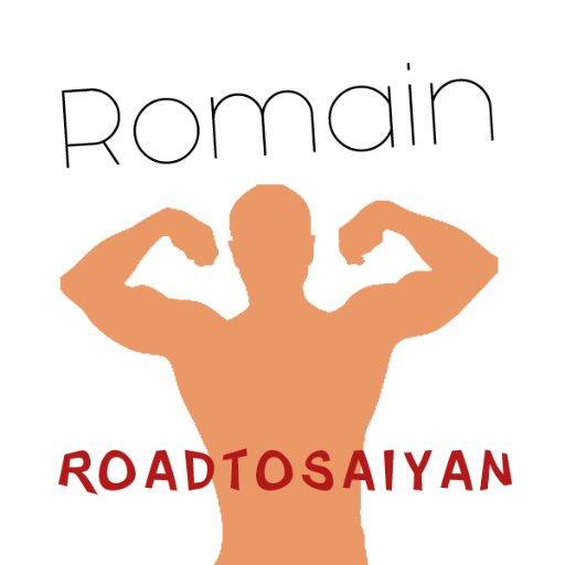 RomainSaiyan's profile picture. Judoka, jeune initié de la musculation, vidéaste amateur et lycéen ! #RoadToSaiyan
-
Channel YouTube :