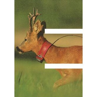 BES Movement Ecology Profile