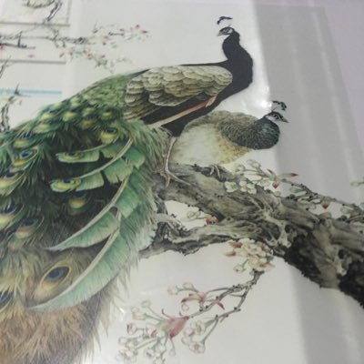 Ann_Druid's profile picture. Uv flatbed,Universal UV printer,Uv printing machine.Zhongchuang Machinery CO.,LTD. https://t.co/t9i5VI9p1y  Email:vanassazhou@yahoo.com