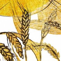 Daily Bread Co-op (@db_cambridge) 's Twitter Profile