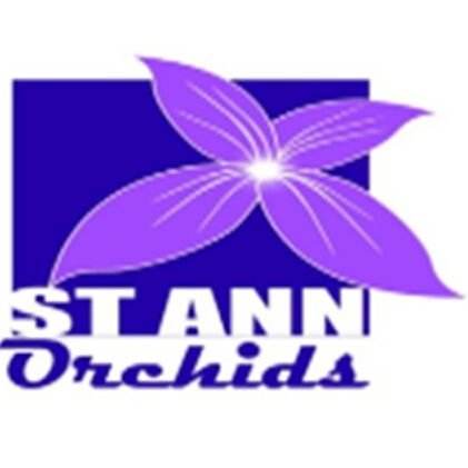 The official twitter account for Netball Jamaica's Elite League Team - St. Ann Orchids.