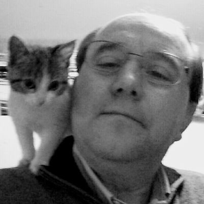 Angelo Bianchetti Profile