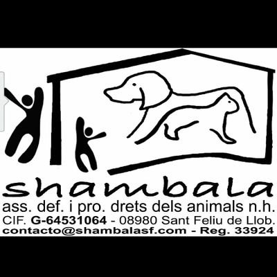 Nuestras manos, nuestra ayuda a l@s pelud@s más necesitad@s.600403536 whatsapp
Por la supervivencia de nuestro Refugio de Animales. Anterior cuenta: @shambalasf