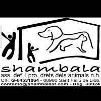 Refugio ShambalaSF (@cra_shambala) 's Twitter Profile