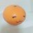 みかんつぶのアイコン