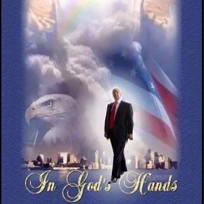 I am a born again Christian, Pro-life, Constitutional Conservative, America First, Lady. God Bless America, President Trump and his family.🙏ing for #TRUMP2020