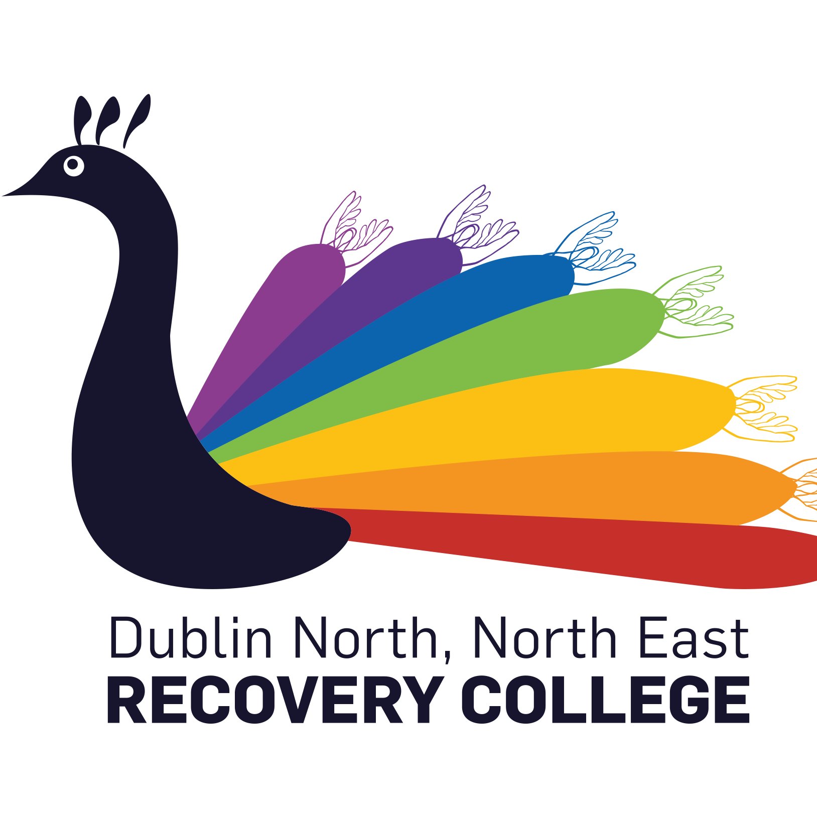 We provide emancipatory mental health education in North Dublin, Louth & Meath. Working with communities to become Trauma Informed and Dual Diagnosis aware.