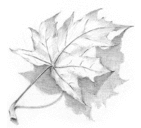 Vũ Thị Ngọc Thoa - @Thoa_Vu - Twitter