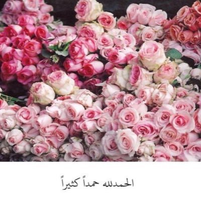 abrni997's profile picture. اللهم أرحم موتانا وموتى المسلمين واجعل قبورهم روضة من رياض الجنة💙
