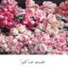 abrni997's profile picture. اللهم أرحم موتانا وموتى المسلمين واجعل قبورهم روضة من رياض الجنة💙