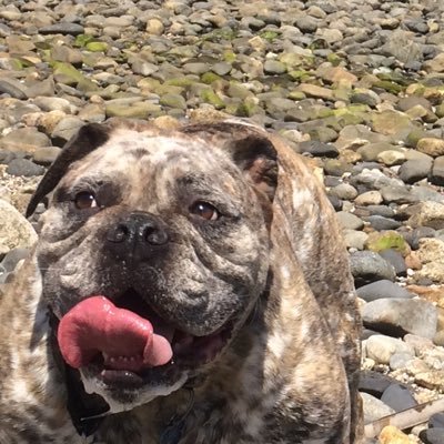 j_gauthier900's profile picture. follower of Jesus. lol