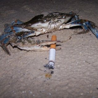 commieHR's profile picture. Stay fress