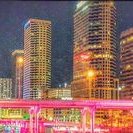 Tampa Best Chefs (@tampabestchefs) 's Twitter Profile