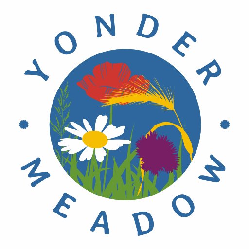 @ExeterLifeMag and @DevonLife contributor Lucy Telfer.Owner, Christmas Trees for Life and Yonder Meadow Holidays in the Exe Valley. Accessible