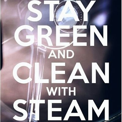 Auto detailing/carwash using steam. ECO-FRIENDLY. Less water better results!
