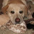 bubblefairy03's profile image