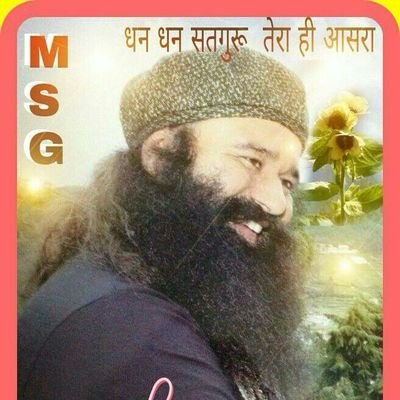 NesibKour's profile picture. 